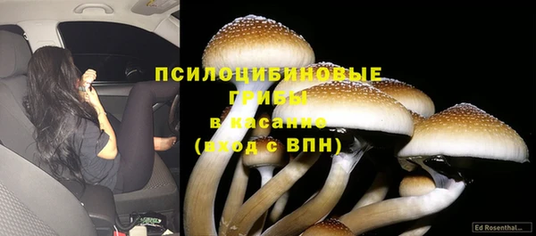 гидра Богородск