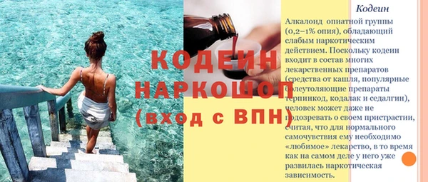 гидра Богородск