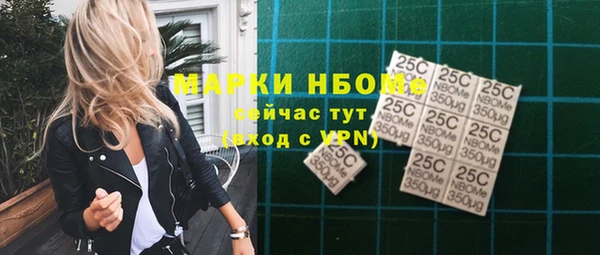 гидра Богородск
